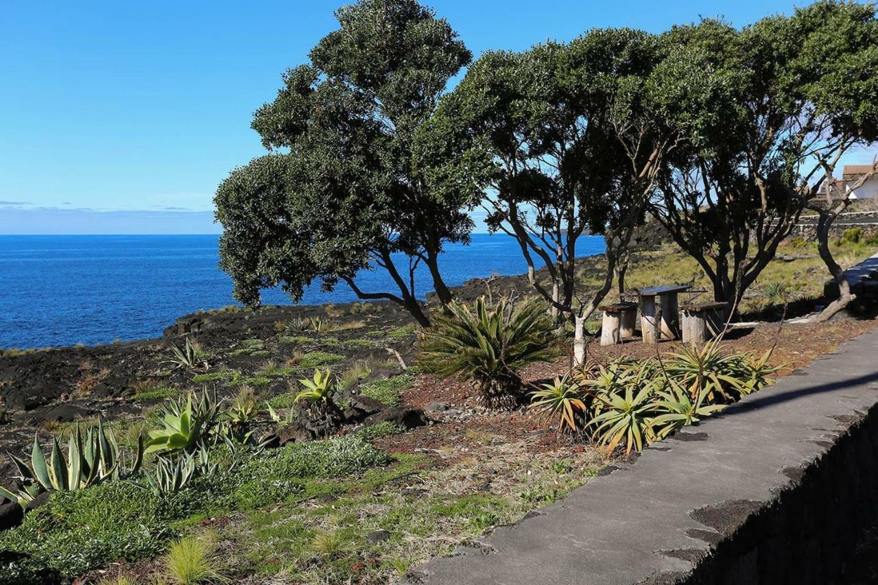 Готель Casa Da Rocha Terra do Pao Екстер'єр фото